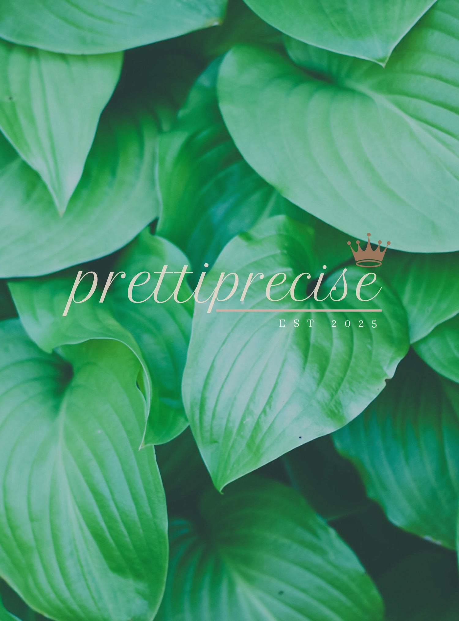 Primp